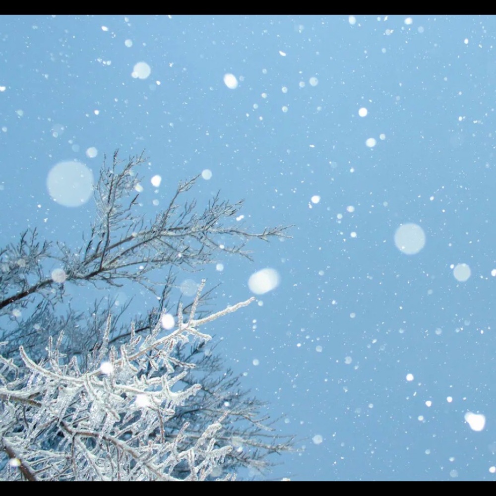 VACATION - Picture 2 of 4